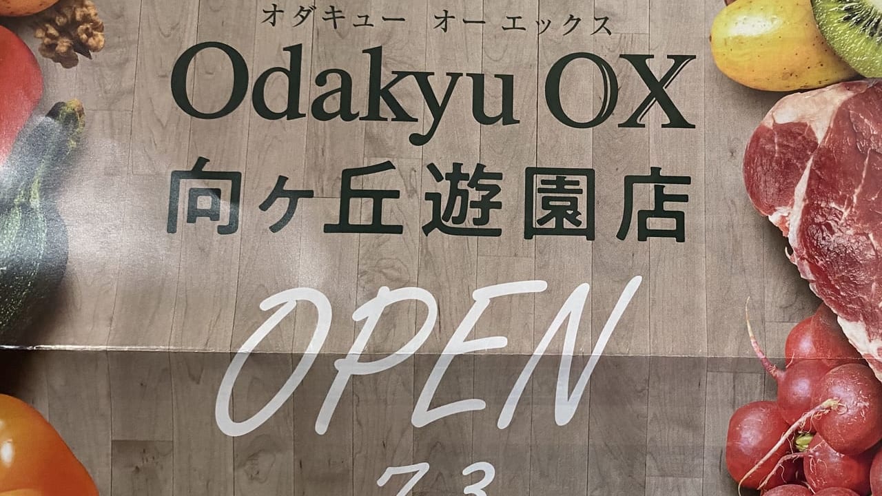 odakyuOXオープン