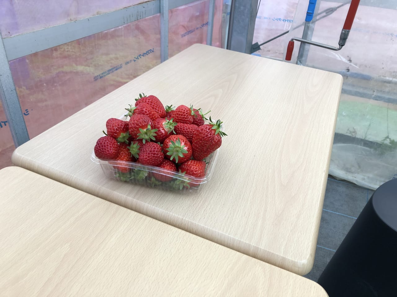 strawberry farmBUNKAEN