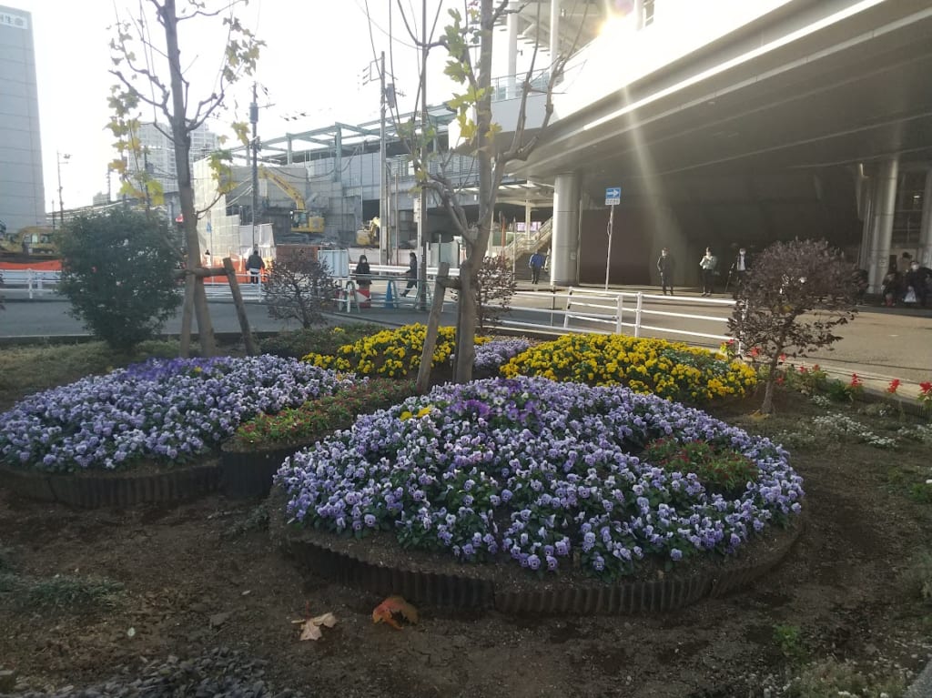 【川崎市多摩区】忙しい年末もほっこり♪ JR登戸駅の可愛いドラえもん&ドラミちゃん花壇。 | 号外NET 川崎市多摩区