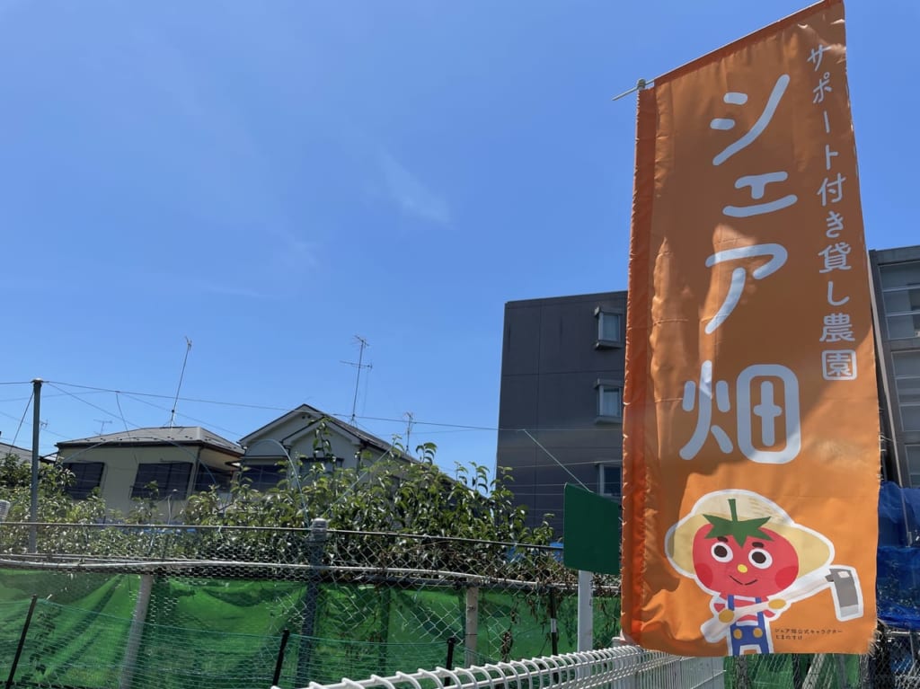 シェア畑