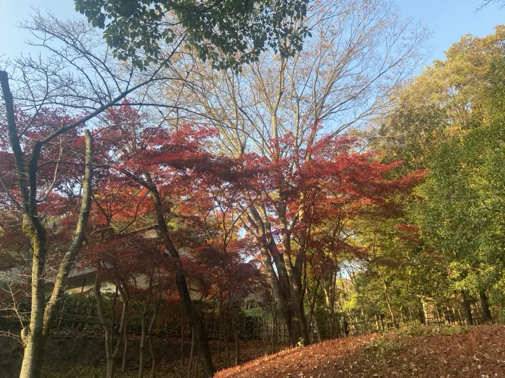 紅葉時期の民家園-2