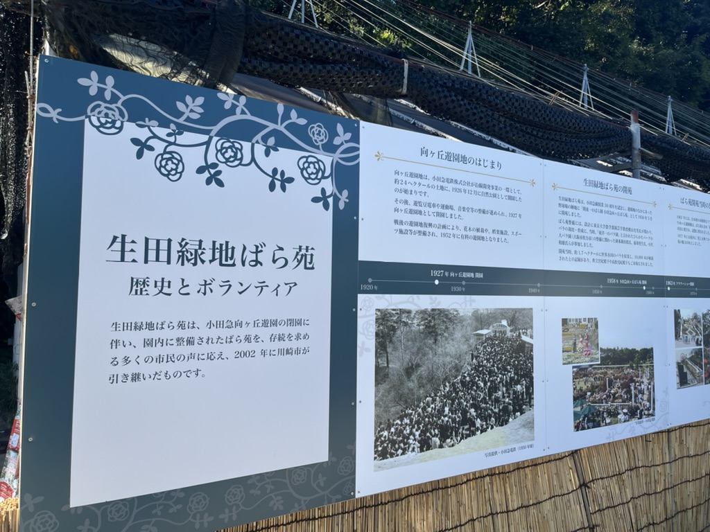 生田緑地ばら苑の歴史とボランティアのパネル展示