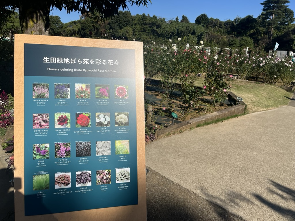 生田緑地ばら苑を彩る花々のパネル