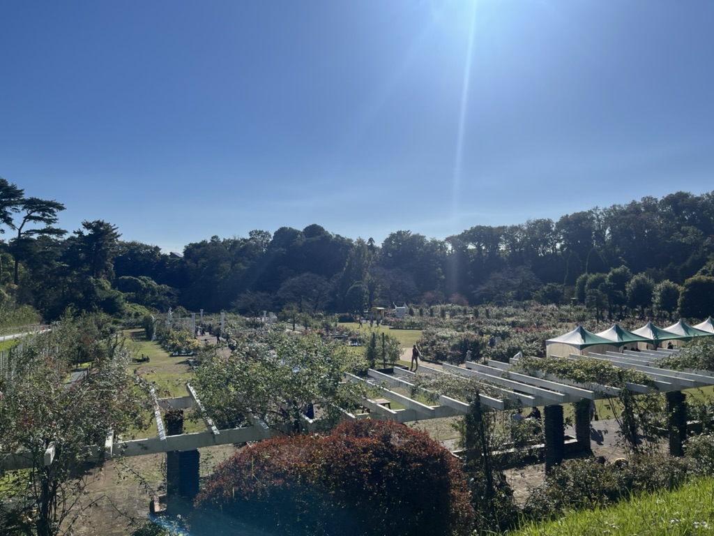 ばら苑 階段上からの風景