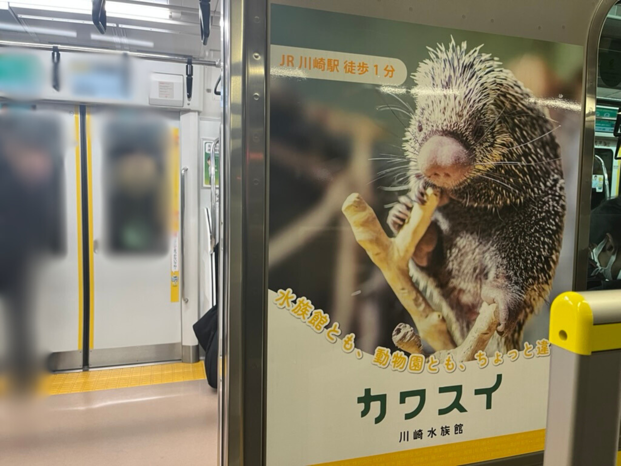 カワスイ 川崎水族館のJR南武線ラッピング車両-2