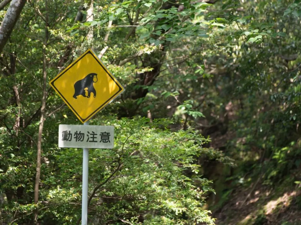 猿に注意の道路標識