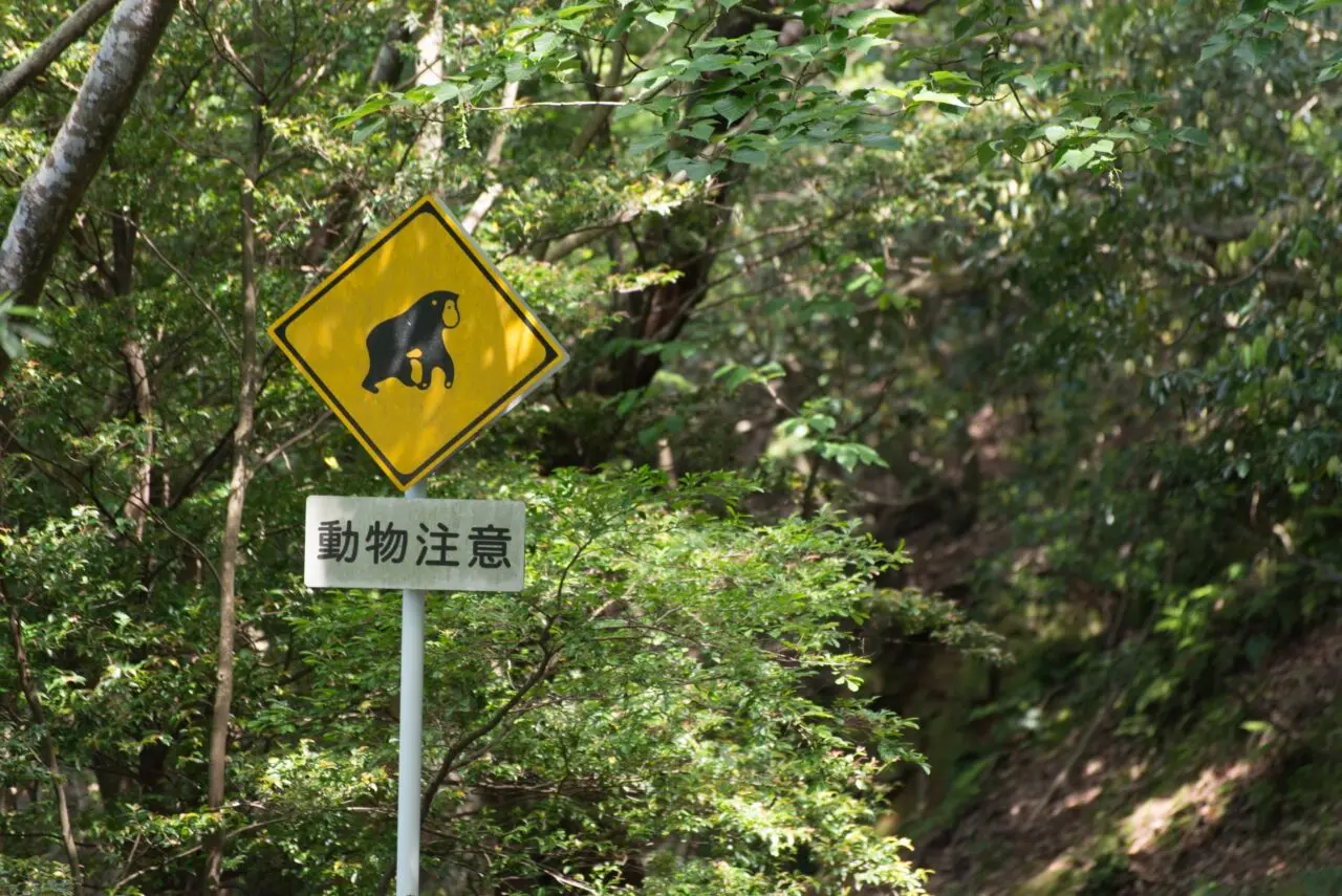 猿に注意の道路標識