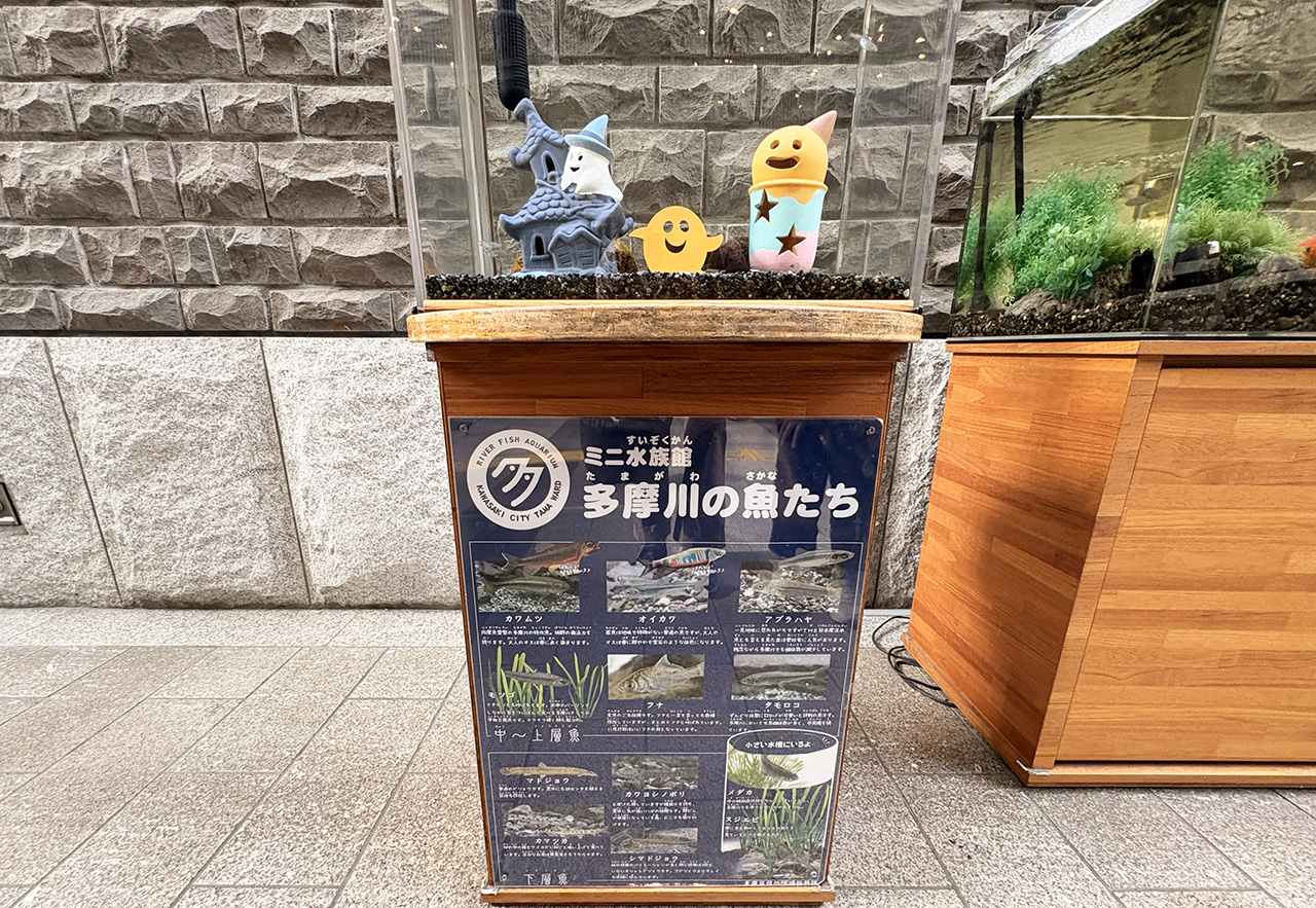 ハロウィン仕様のミニ水族館