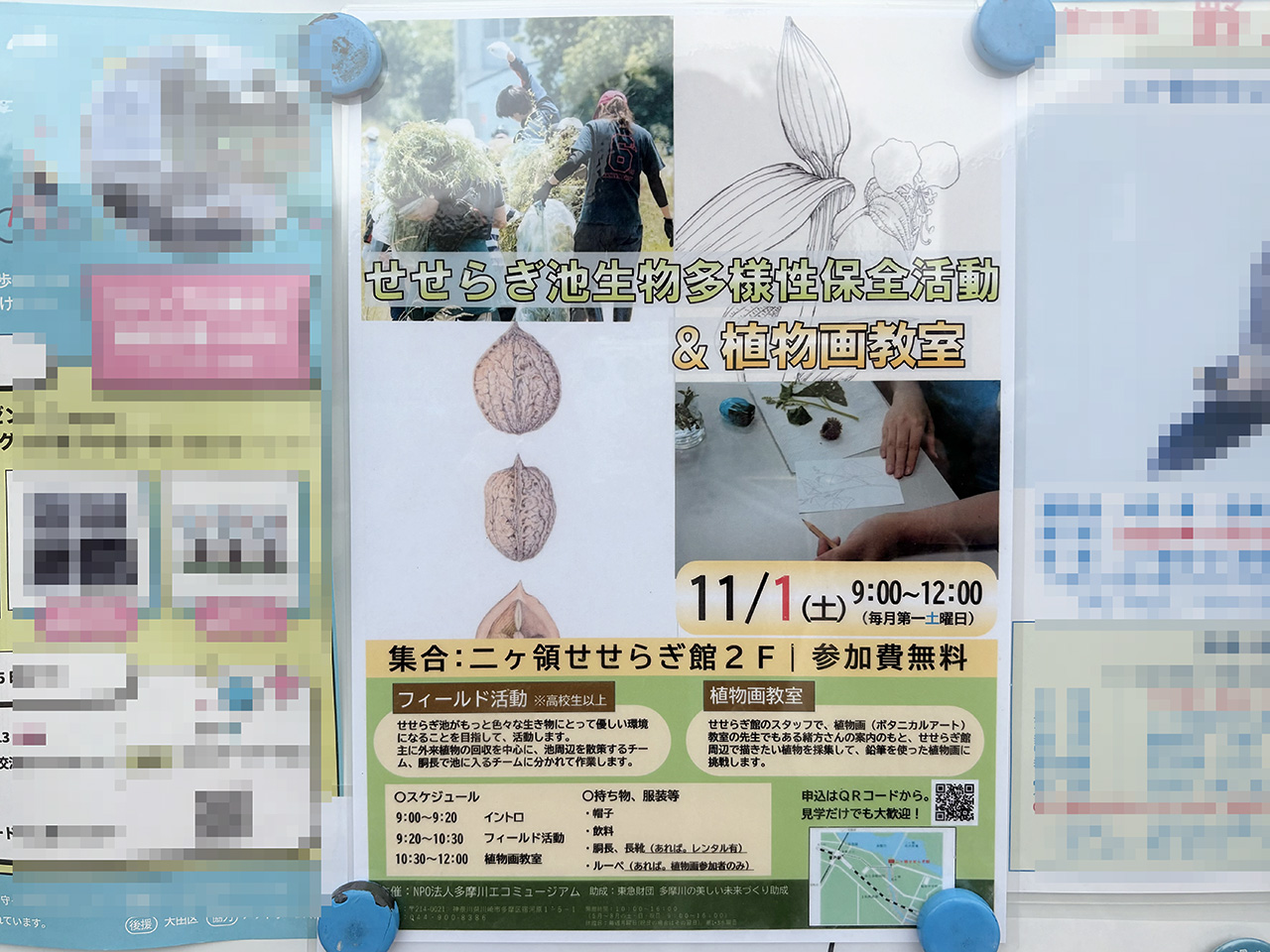せせらぎ池生物多様性保斬活動＆植物画教室のちらし