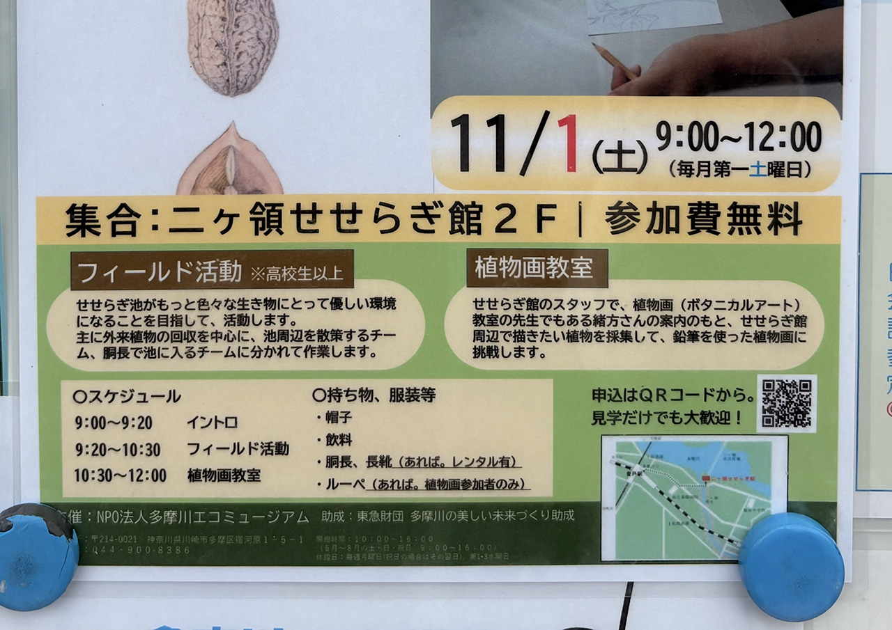 せせらぎ池生物多様性保全活動詳細