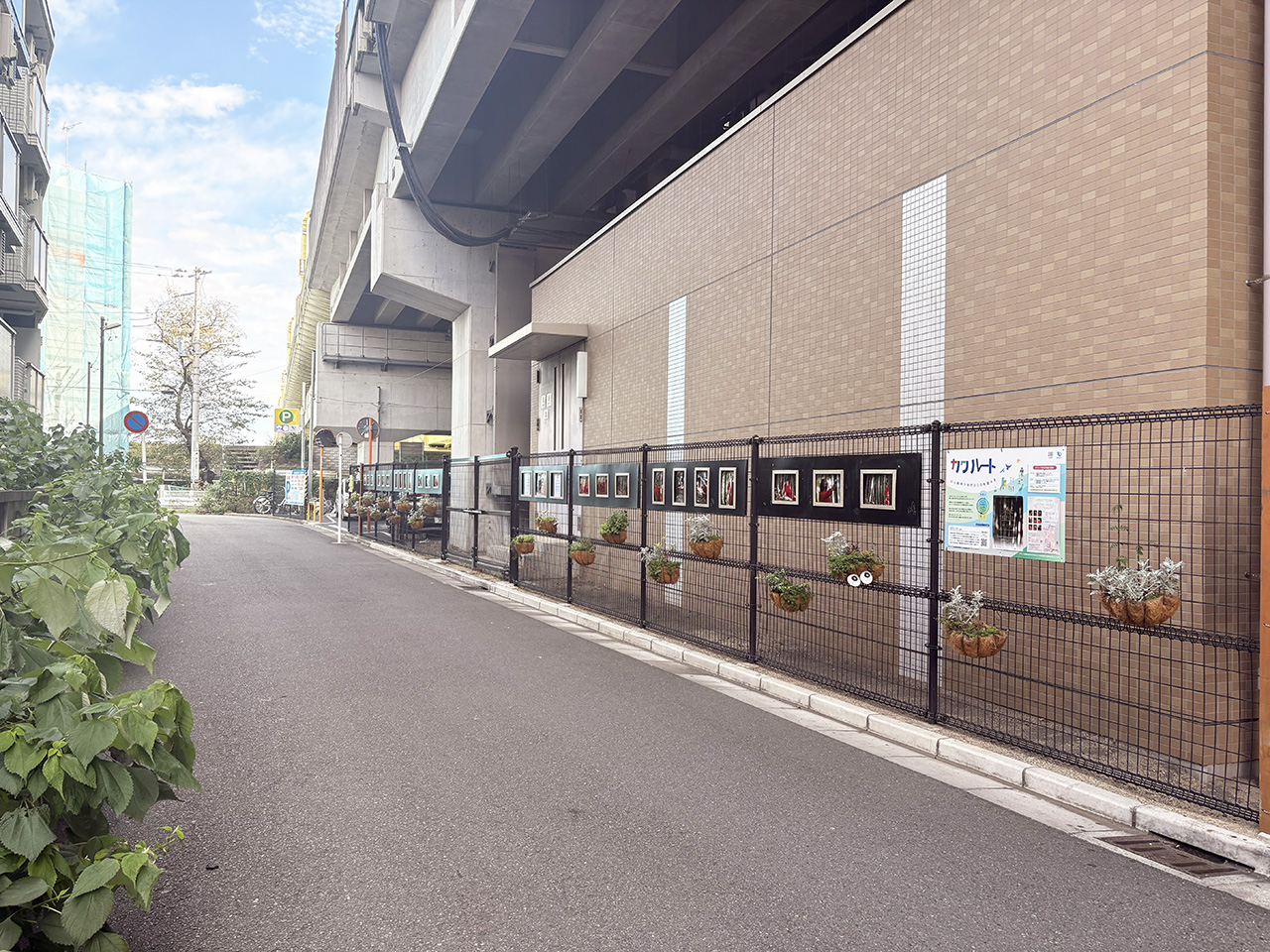 カワルート全体像