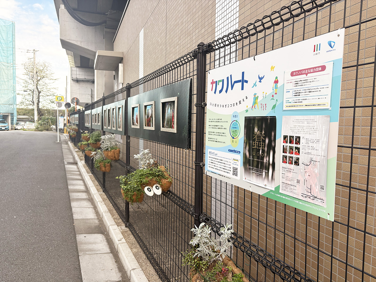 カワルートの展示