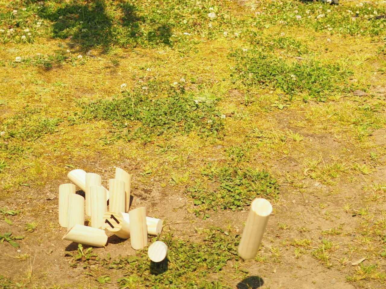 モルックのイメージ画像