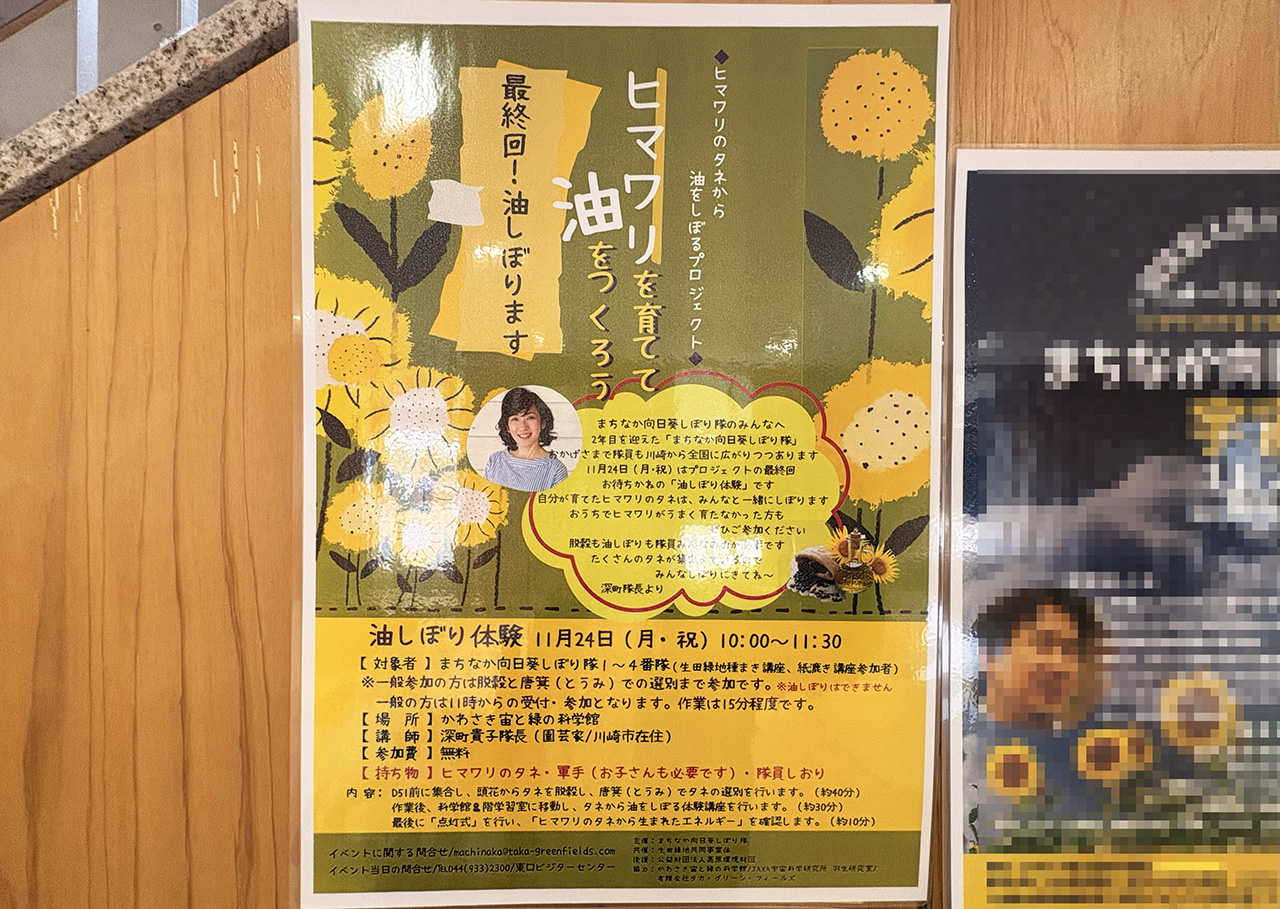 ヒマワリを育てて油を絞ろうポスター