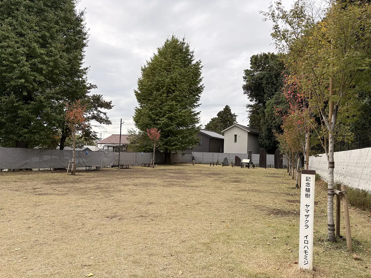 生田っ子広場の全景