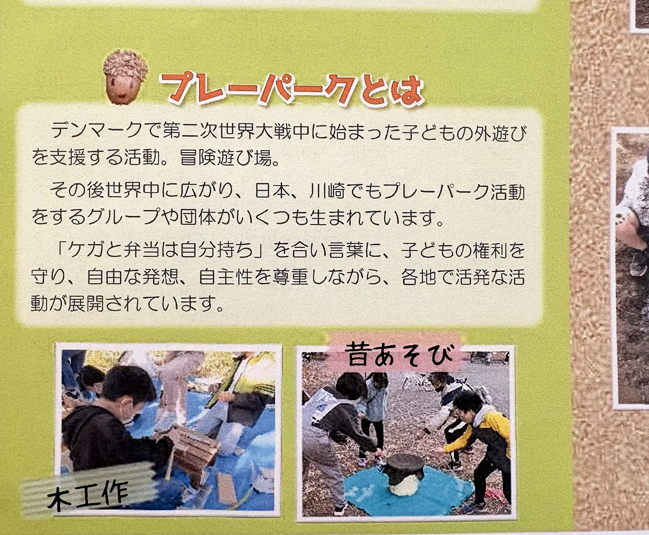 たまプレのプレーパークとは？