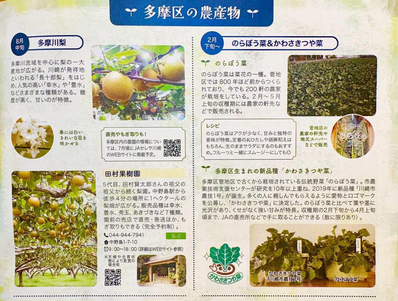 多摩区の農産物(はなもす掲載)