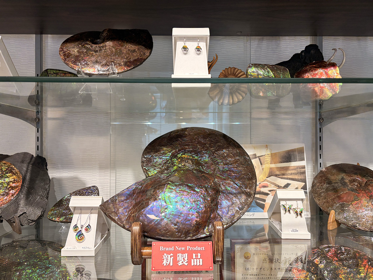 アンモライトミュージアム