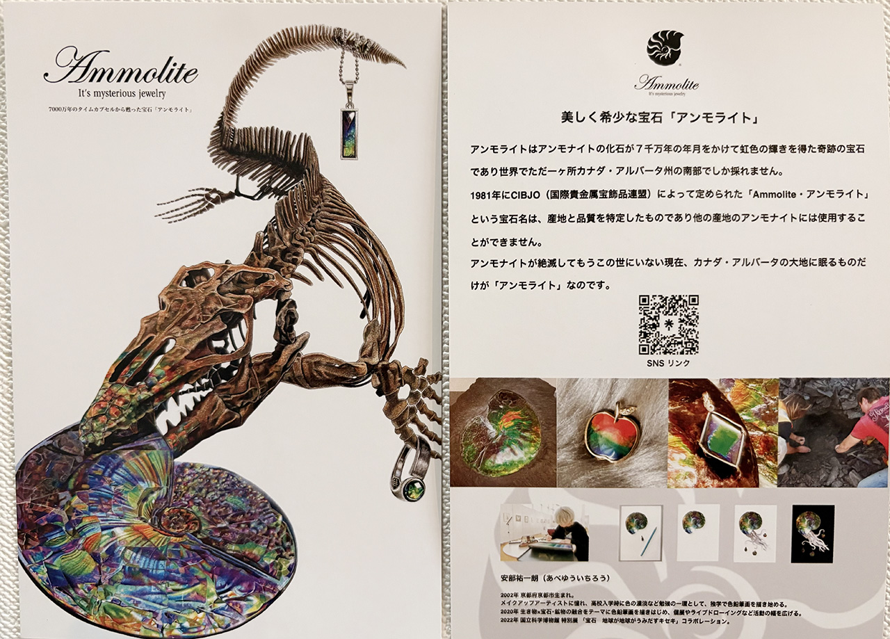 アンモライトミュージアムのポストカード