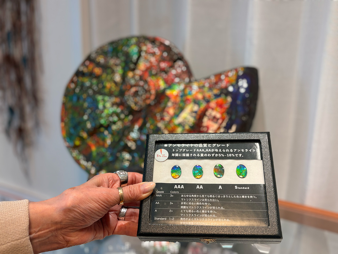 アンモライトミュージアム