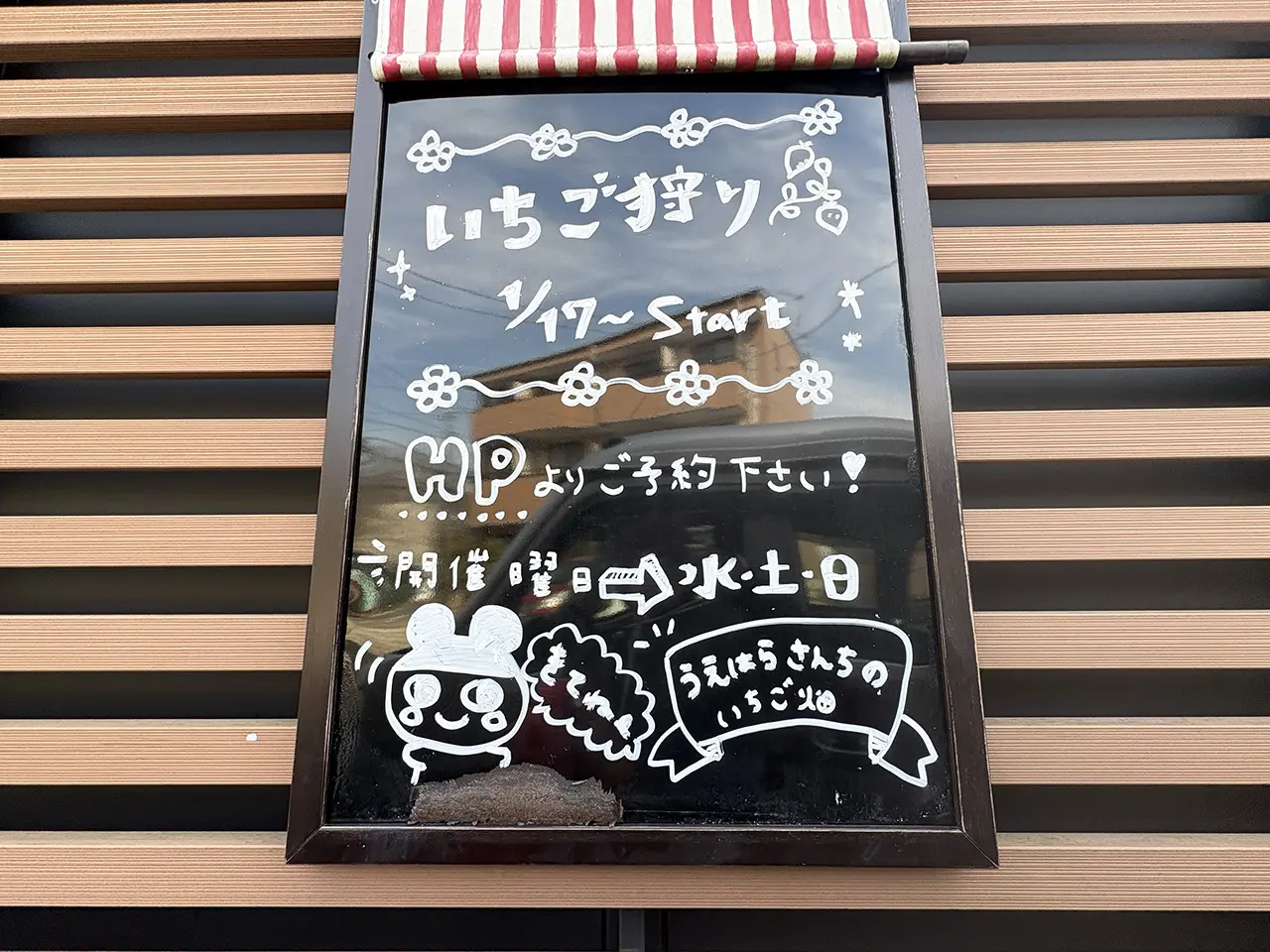 上原さんちのいちご畑のいちご狩り案内