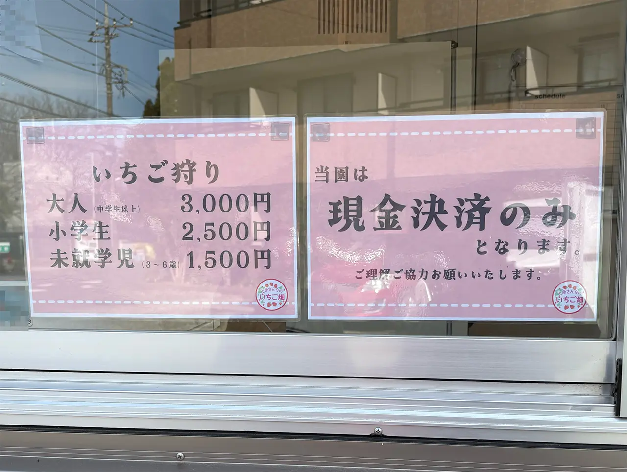 上原さんちのいちご畑のお会計