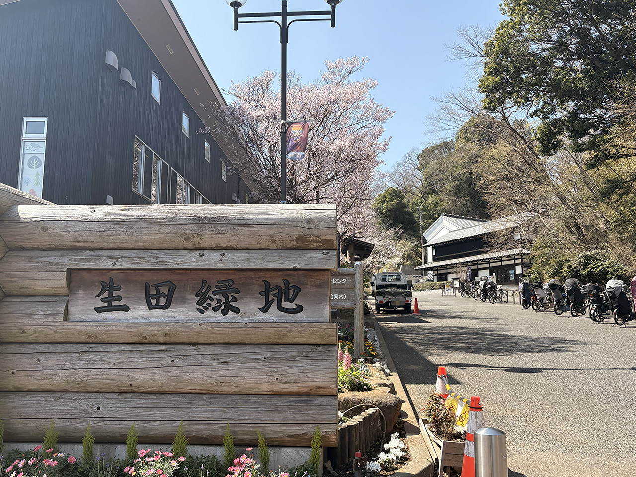 生田緑地東口2026年春の桜
