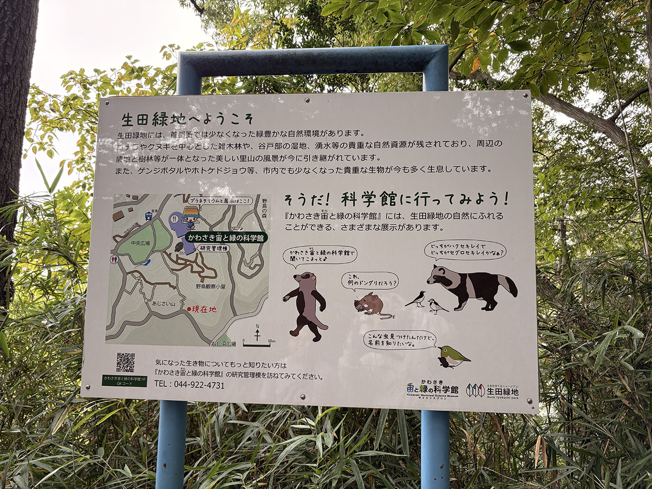 生田緑地へようこそ