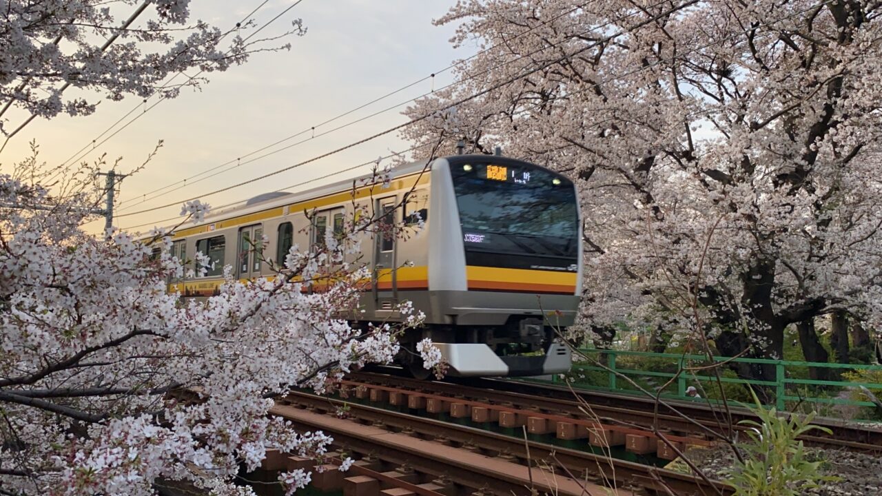 宿河原の桜