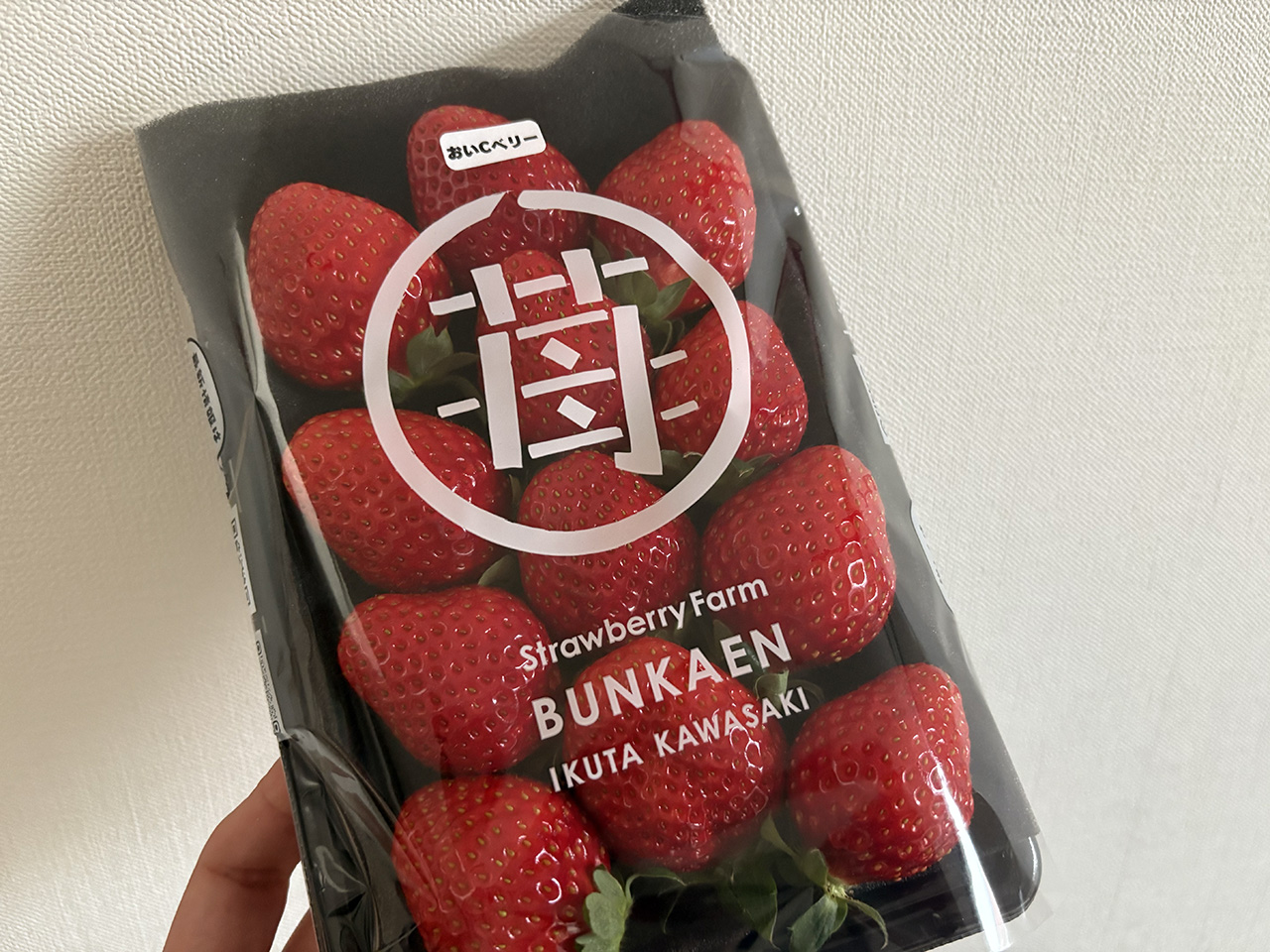 BUNKAENのいちご