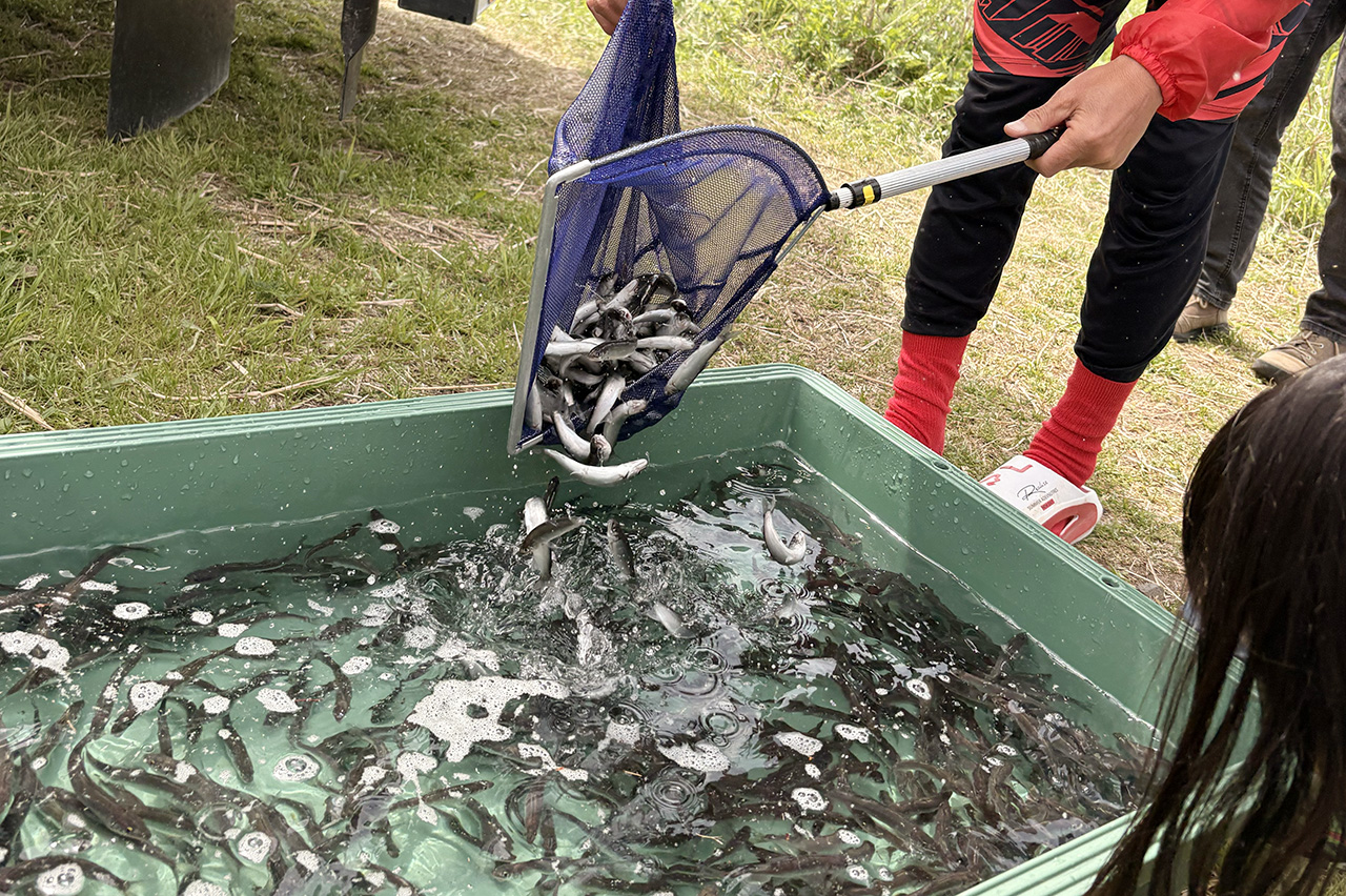 かわさき水辺の楽校2026