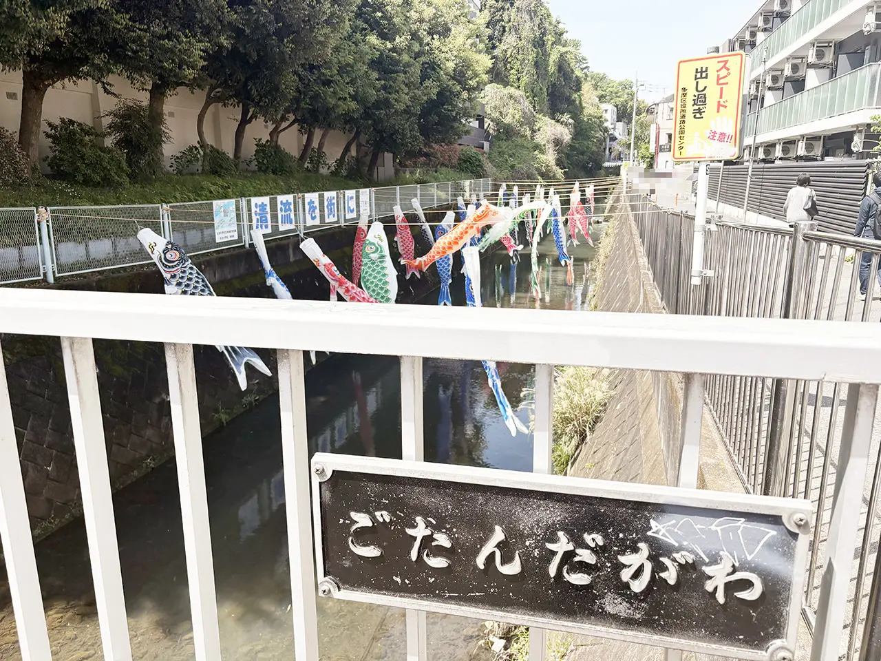 五反田川の鯉のぼり