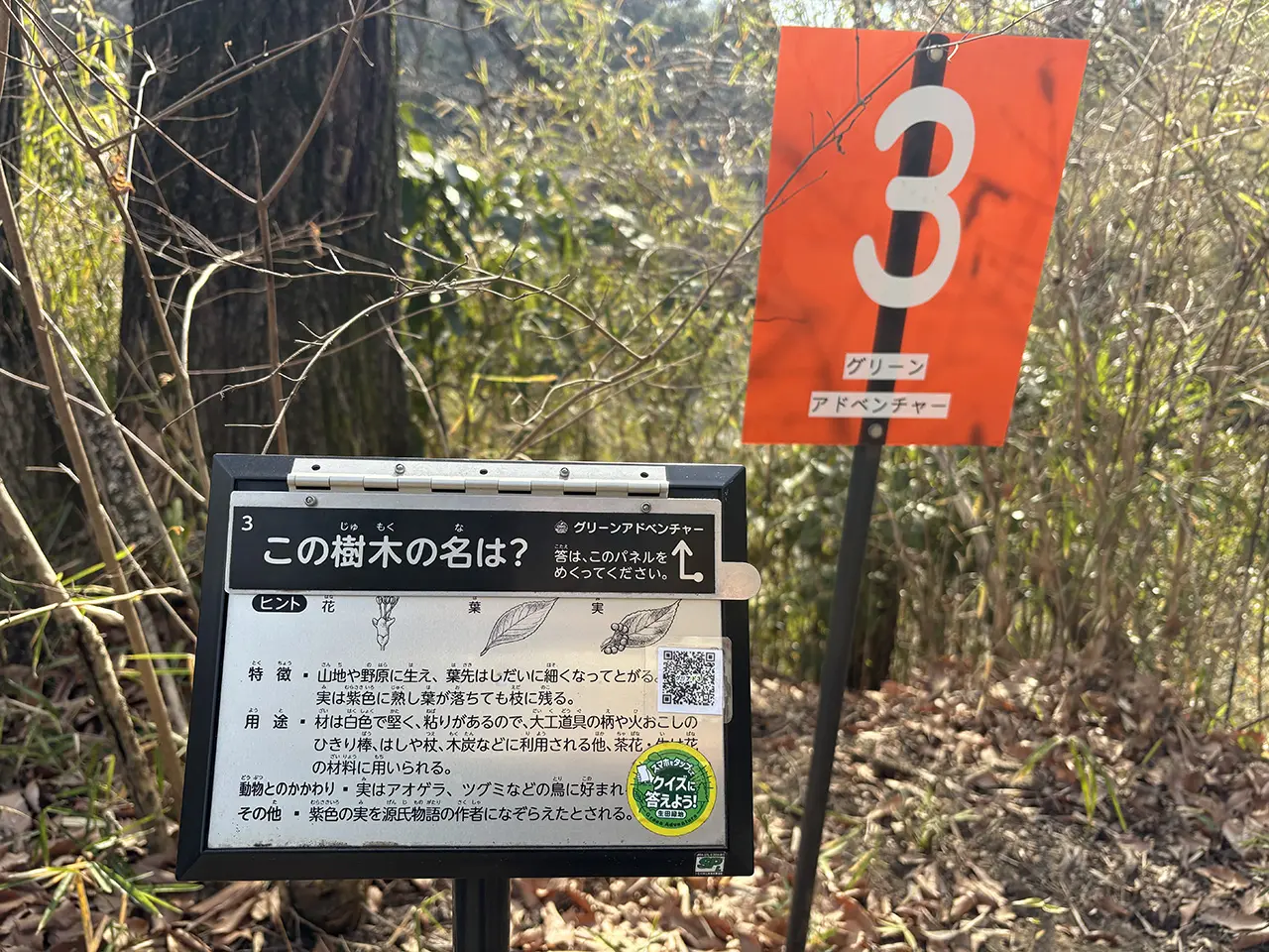 生田緑地のグリーンアドベンチャー