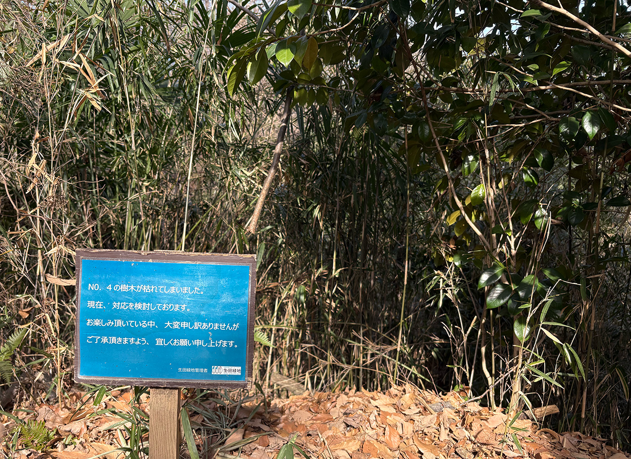 生田緑地のグリーンアドベンチャー