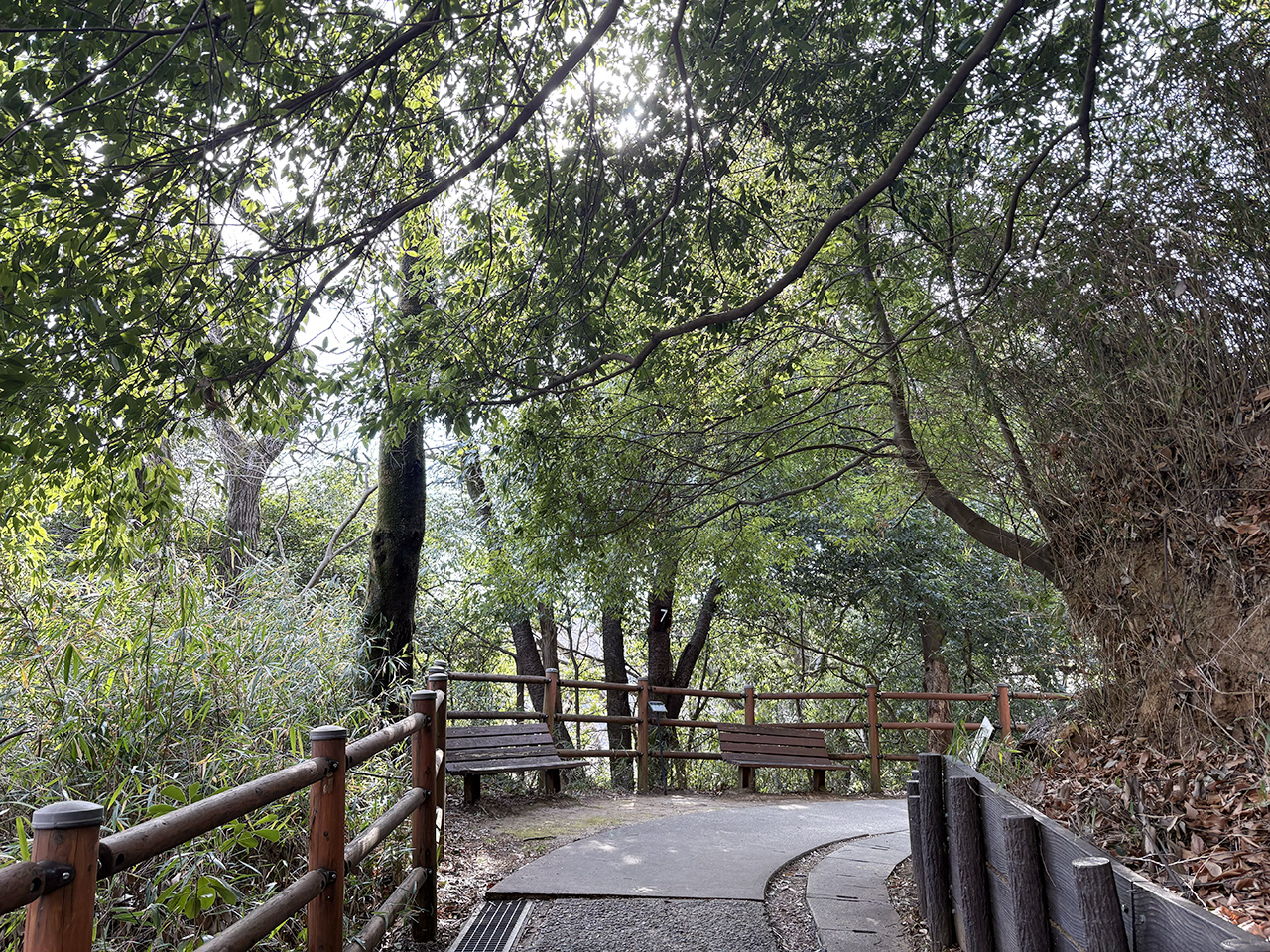 生田緑地のグリーンアドベンチャー