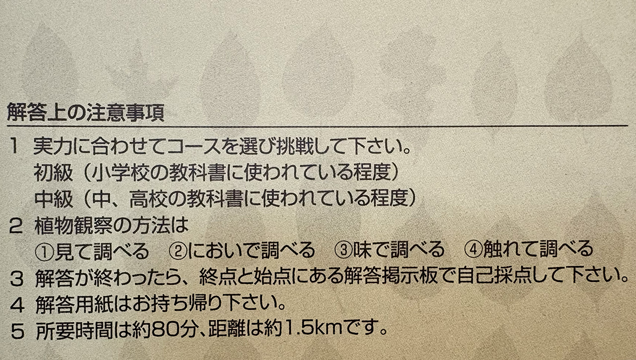 生田緑地のグリーンアドベンチャー