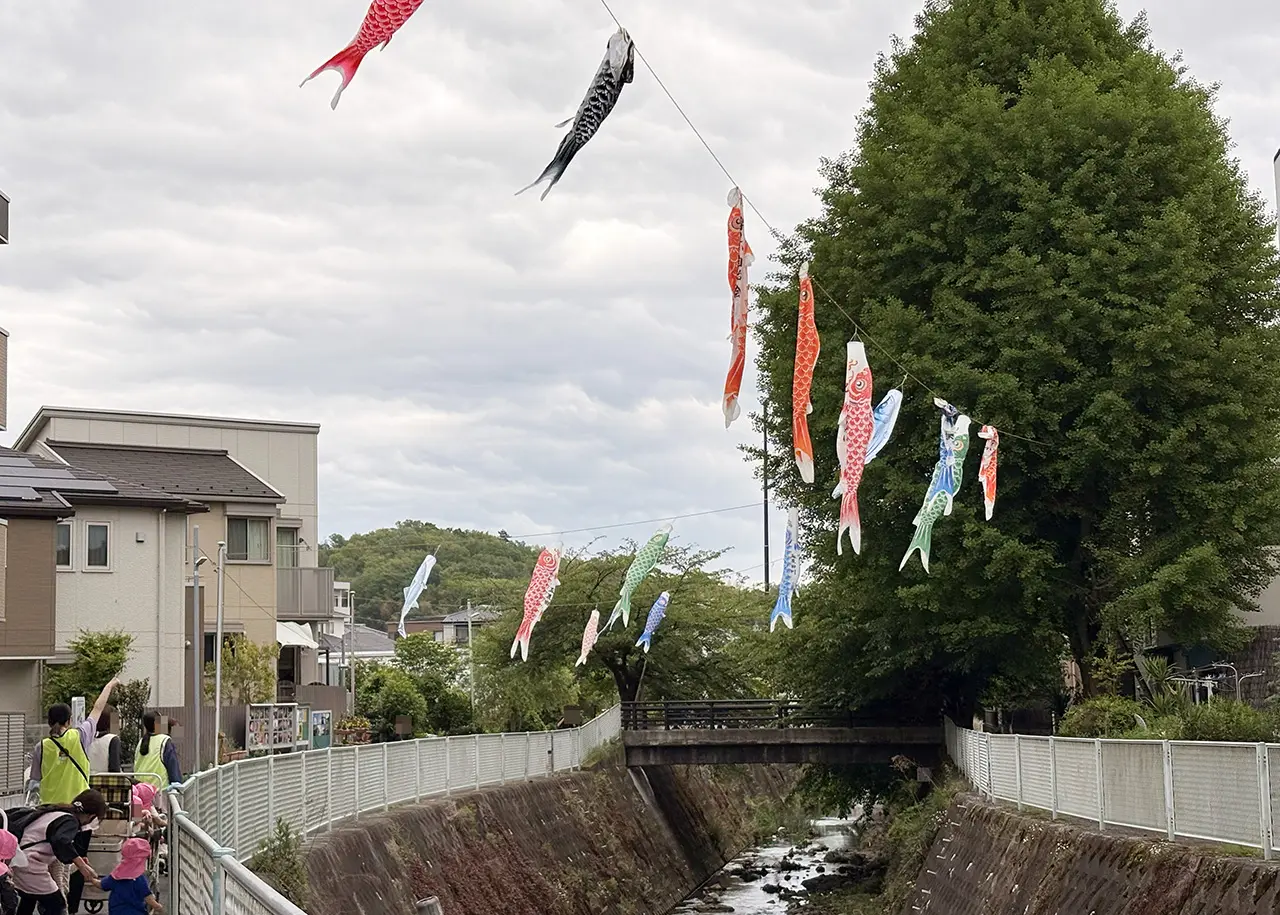五反田川の鯉のぼり2026