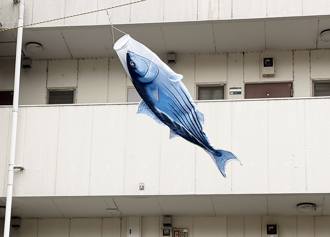 生田の鯉のぼり