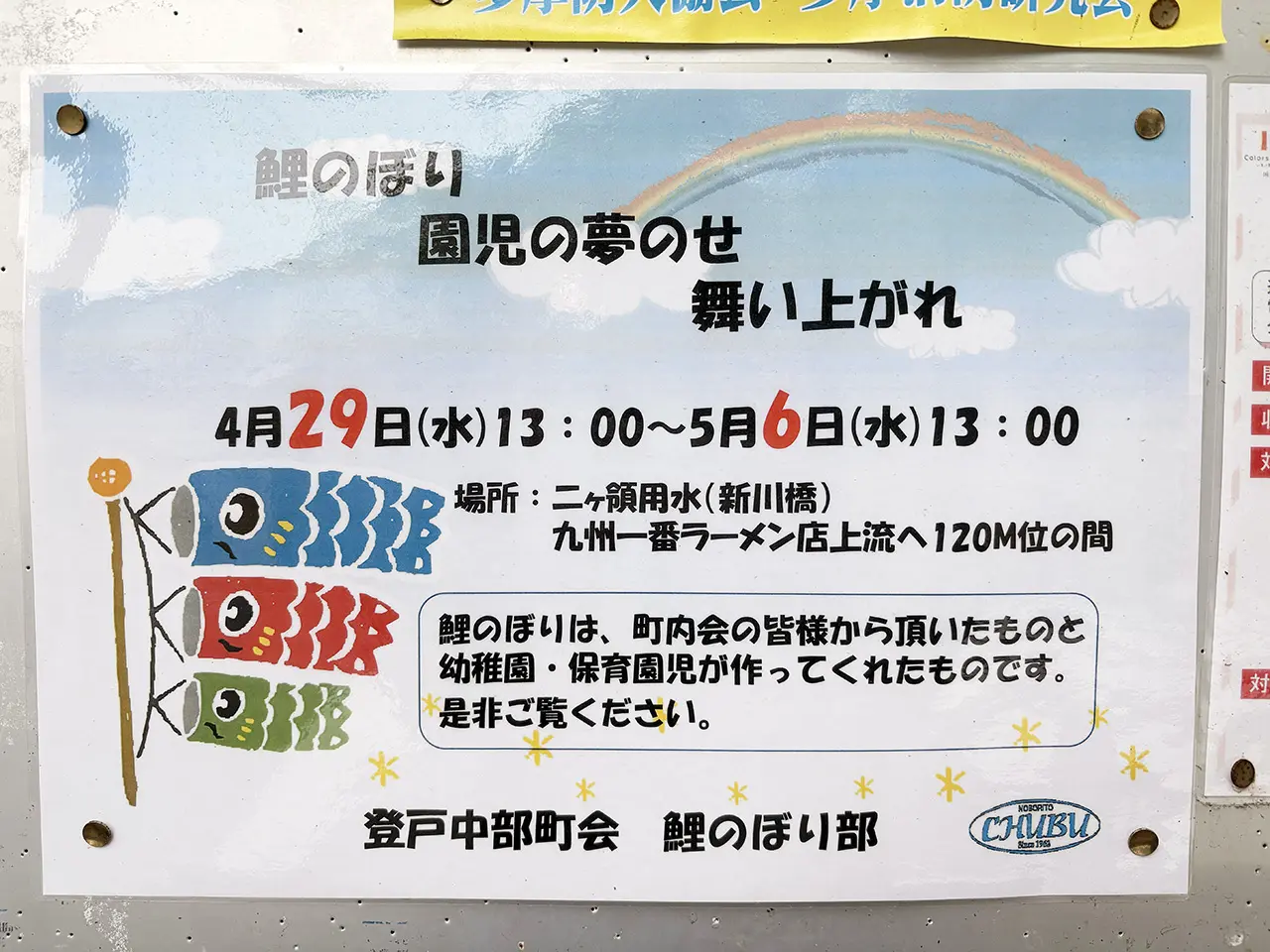 新川橋の鯉のぼり
