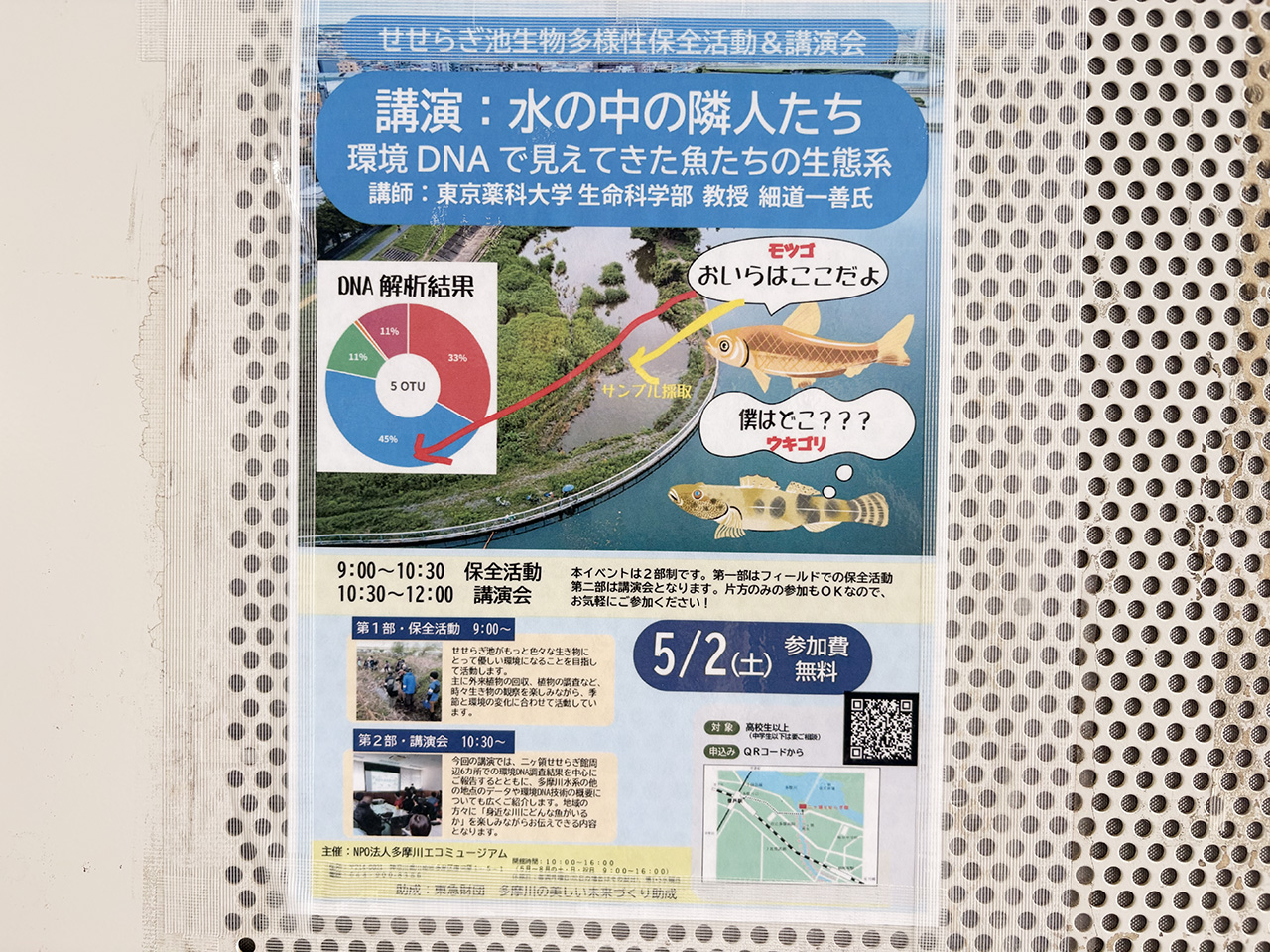 二ヶ領せせらぎ館「水の中の隣人たち」環境DNA講演会