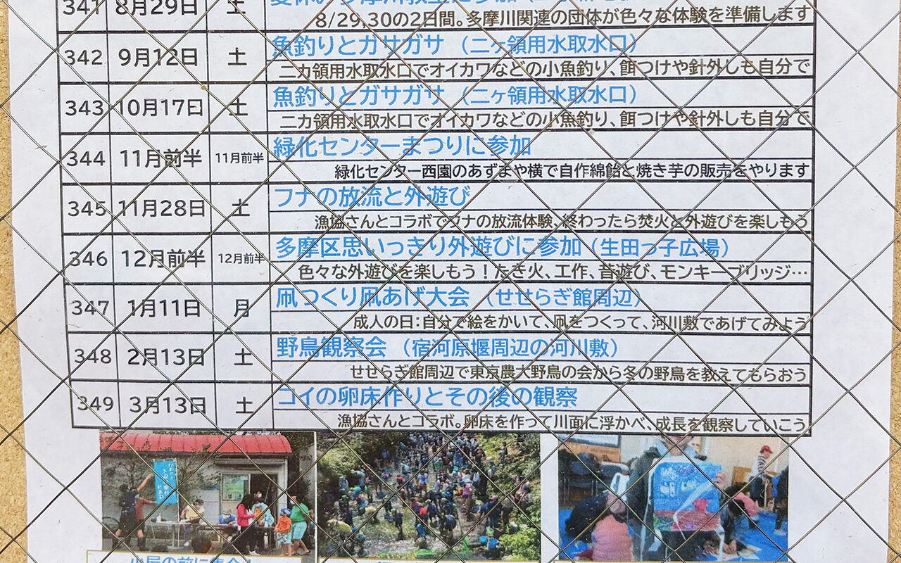 かわさき水辺の楽校2026年度計画