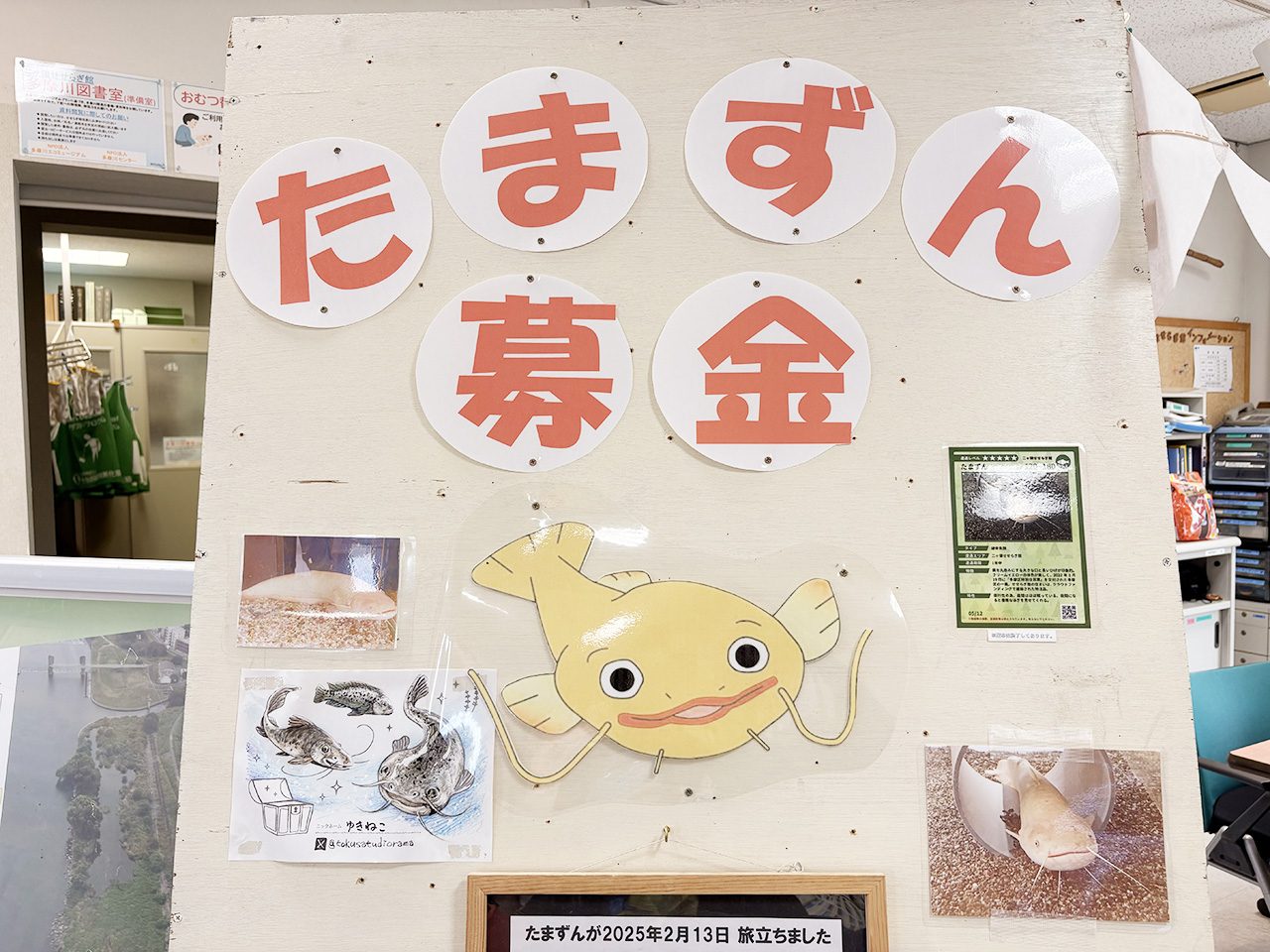 二ヶ領せせらぎ館「たまずん募金」