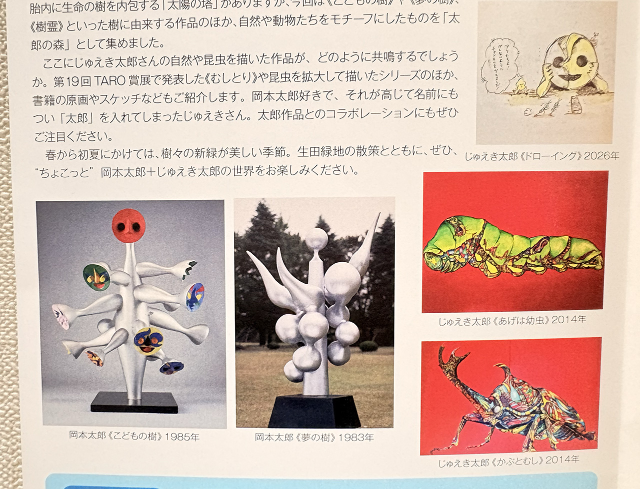 川崎市岡本太郎美術館「ちょこっとTARO 太郎の森」案内
