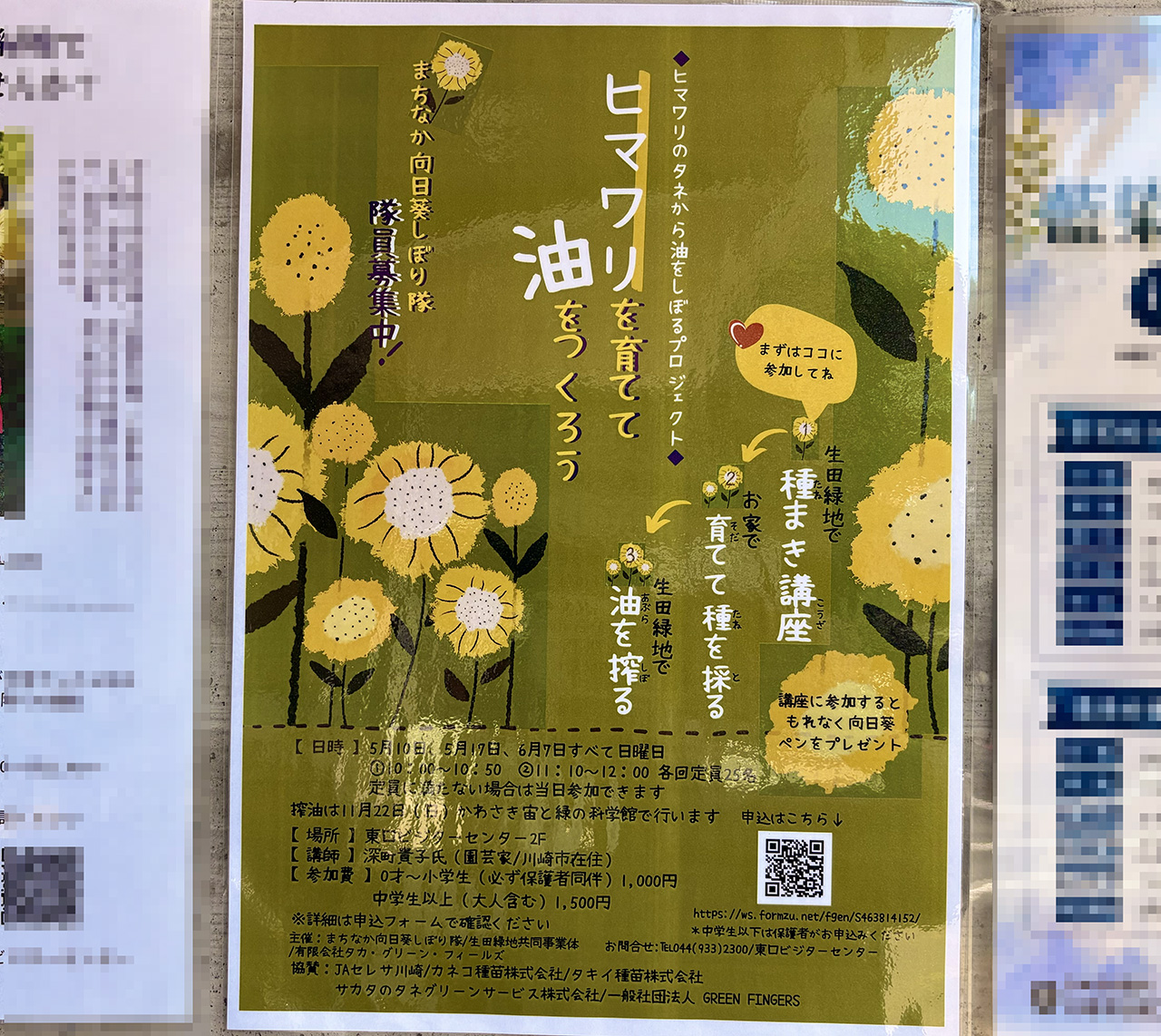 まちなか向日葵しぼり隊2026