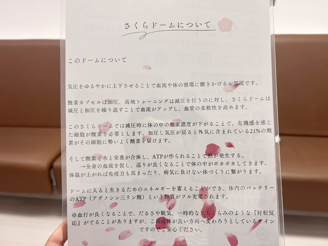 さくらドームについて