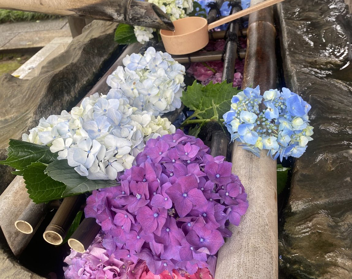 妙楽寺の花手水