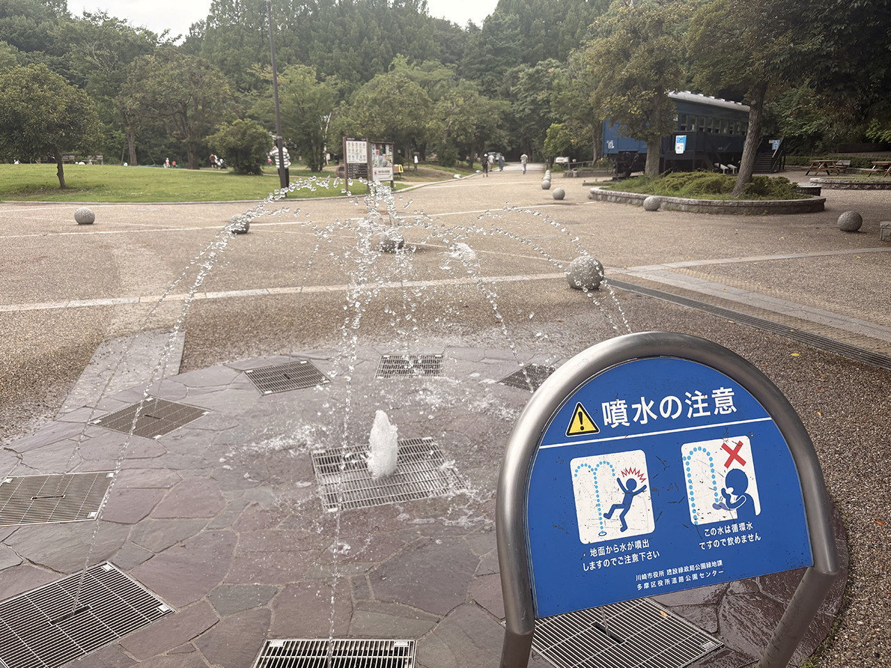 生田緑地の噴水が稼働！