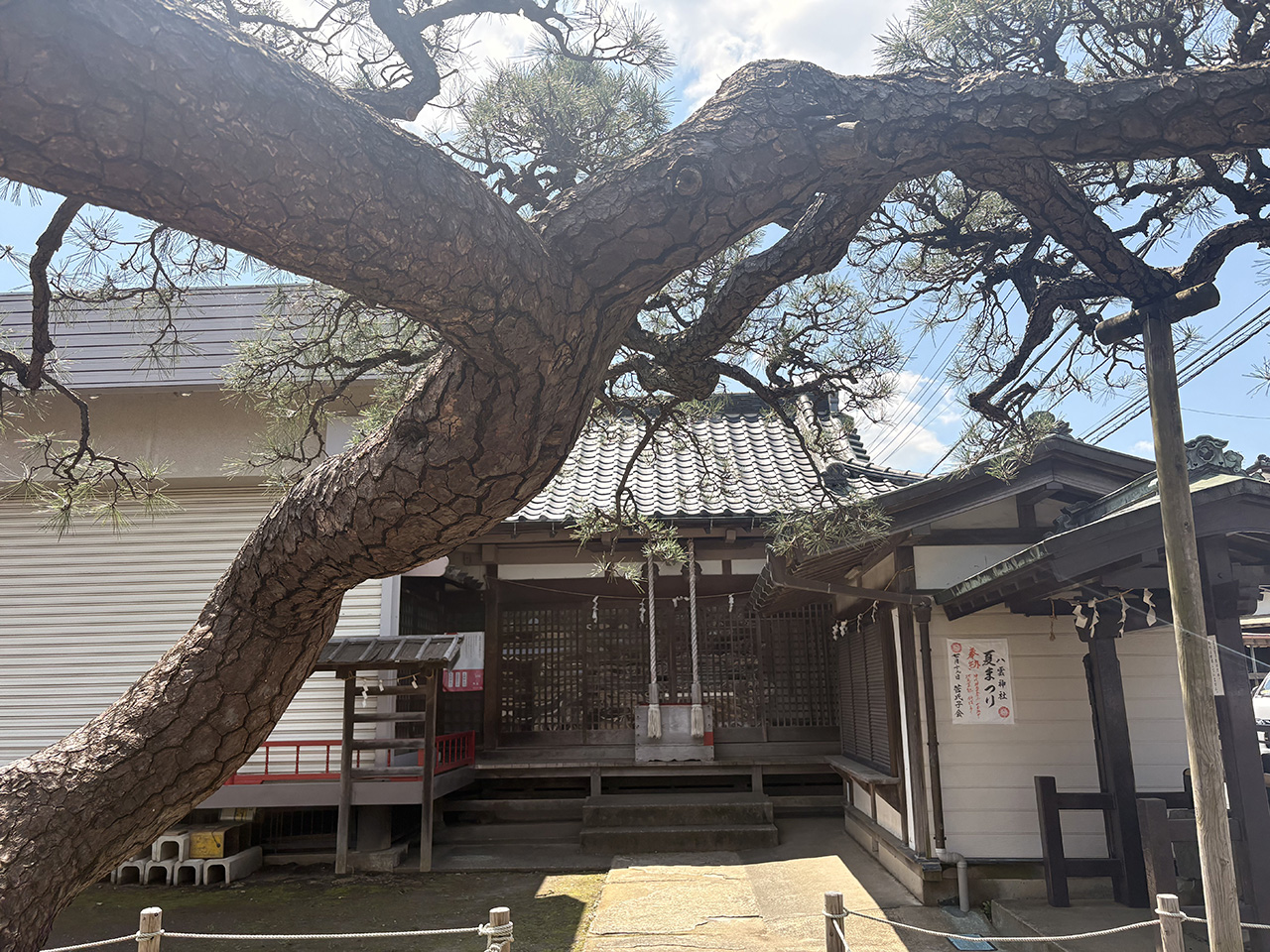 稲田堤の八雲神社