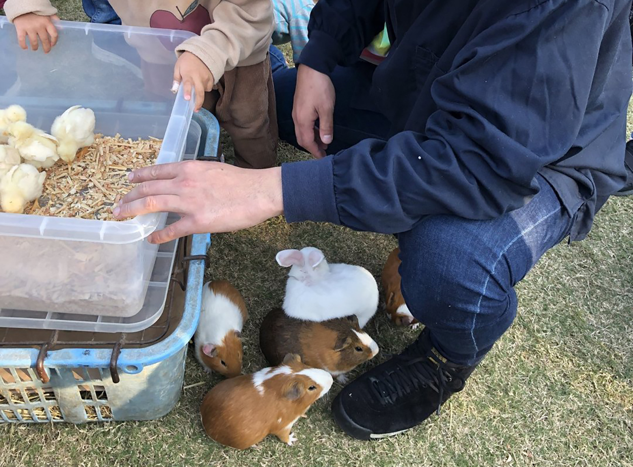 ふれあい動物園のイメージ画像
