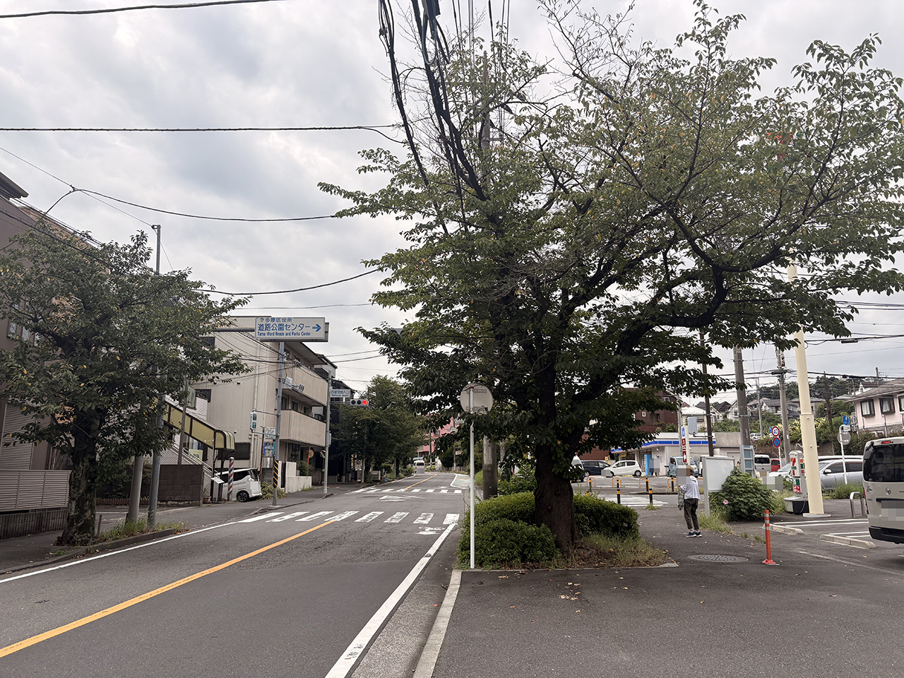 ニシキヘビ逸走のニュース2026年8月